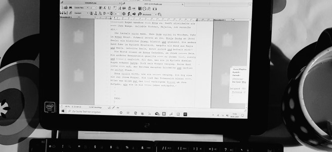 Bildschirm mit Letzter Seite eines Manuskripts und dem Wort "Ende" ganz unten.