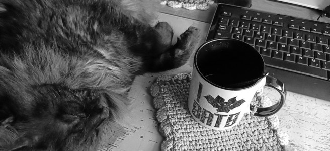 Flauschekatze räkelt sich neben einer Tastatur und einer Fledermaus-Kaffeetasse auf dem Schreibtisch.